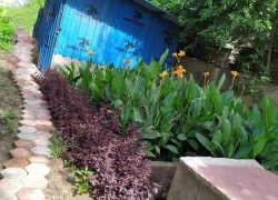 WhatsApp Image 2025-02-07 at 6.14.35 PM